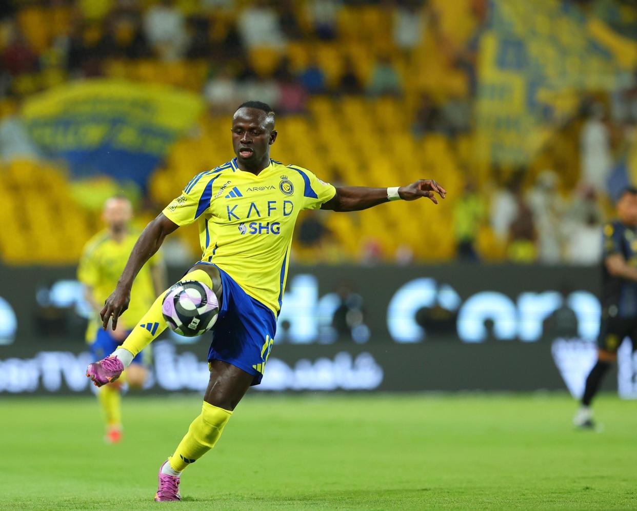 军事体育训练大纲pdf 军事体育训练大纲pdf